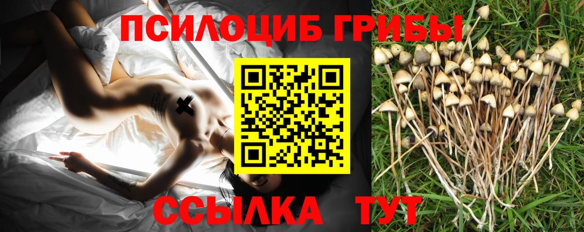 Галлюциногенные грибы Magic Shrooms Новый Уренгой
